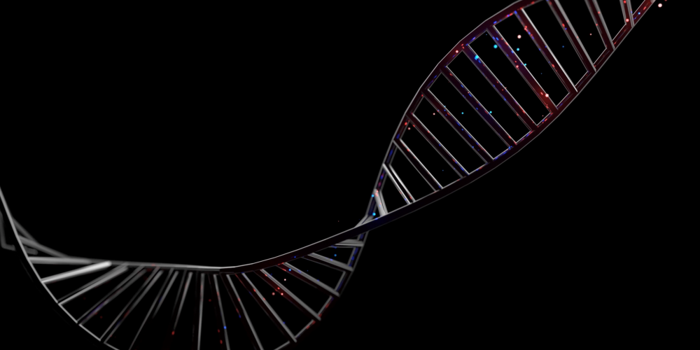 Die DNA der Verhandlung DNA-Strang